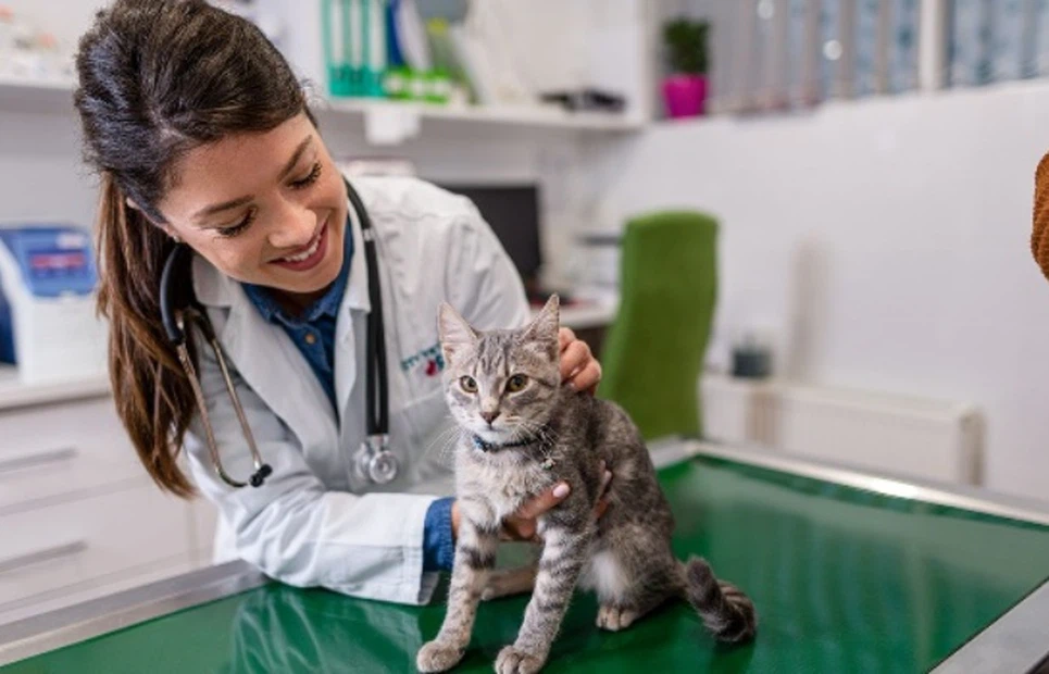 GS-441524 Expanding Access To Effective Treatment | Shaanxi BLOOM Tech Co., Ltd GS-441524 Expanding Access To Effective Treatment | Shaanxi BLOOM Tech Co., Ltd