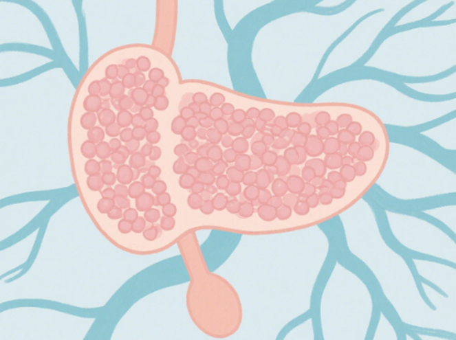 Bioglutide balance| Shaanxi BLOOM Tech Co., Ltd Bioglutide balance| Shaanxi BLOOM Tech Co., Ltd