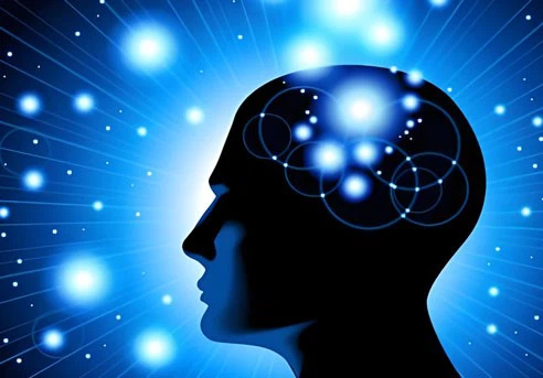 Paraxanthine powder-Neuroscience | Shaanxi BLOOM Tech Co., Ltd Paraxanthine powder-Neuroscience | Shaanxi BLOOM Tech Co., Ltd