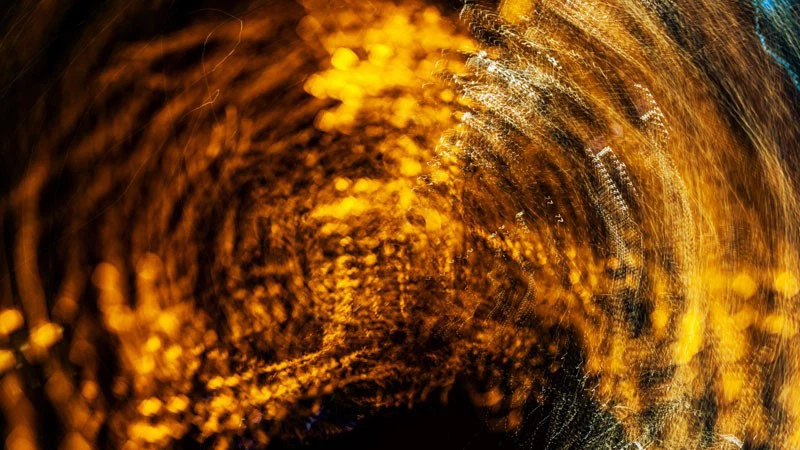 Honokiol Powder | Shaanxi BLOOM Tech Co., Ltd Honokiol Powder | Shaanxi BLOOM Tech Co., Ltd