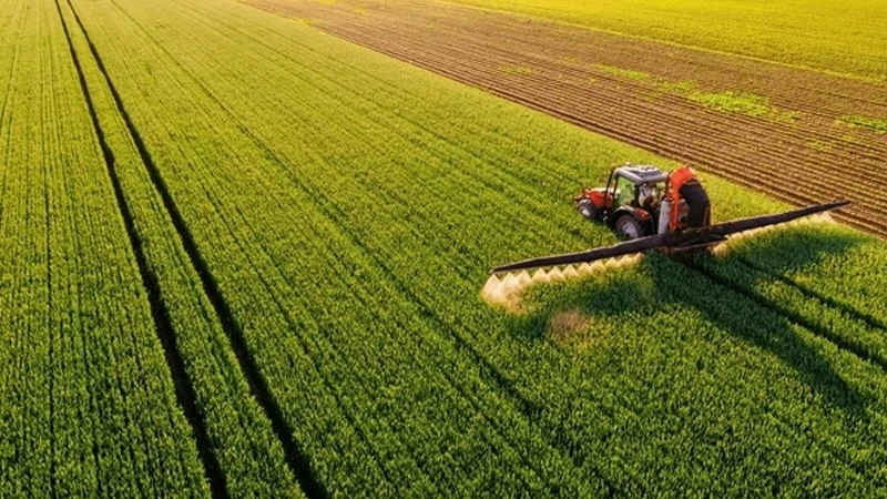 Zinc Sulfate Heptahydrate Powder Agricultural Field | Shaanxi BLOOM Tech Co., Ltd Zinc Sulfate Heptahydrate Powder Agricultural Field | Shaanxi BLOOM Tech Co., Ltd