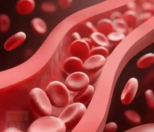 angiotensin Treatment Of Other Distributive Shocks | Shaanxi BLOOM Tech Co., Ltd angiotensin Treatment Of Other Distributive Shocks | Shaanxi BLOOM Tech Co., Ltd
